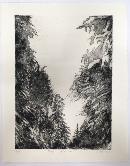 Metsän Hiljaisuus - Silence of the Forest — Alex Gough