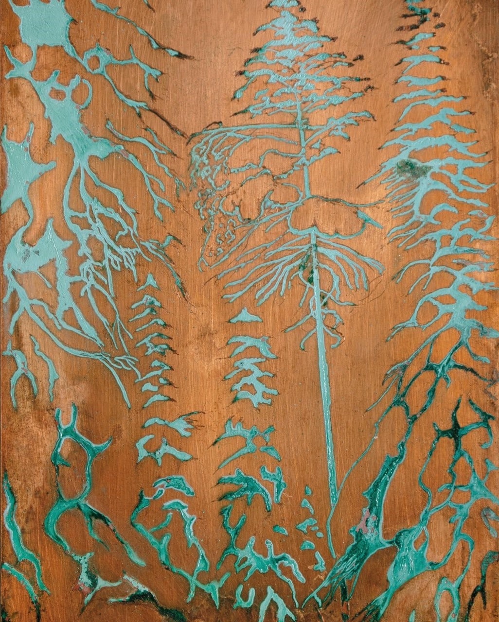 Lumiset Kuuset (Snow covered trees) — Alex Gough