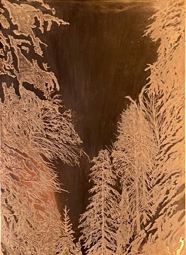 Metsän Hiljaisus (Silence of the Forest) — Alex Gough