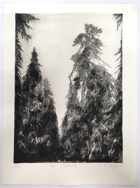 Ilta Metsässä - Evening in the Forest — Alex Gough
